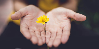Bev Henry Fund - emergency financial aid